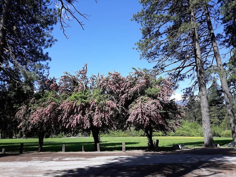 Mount Shasta City Park - Image 1