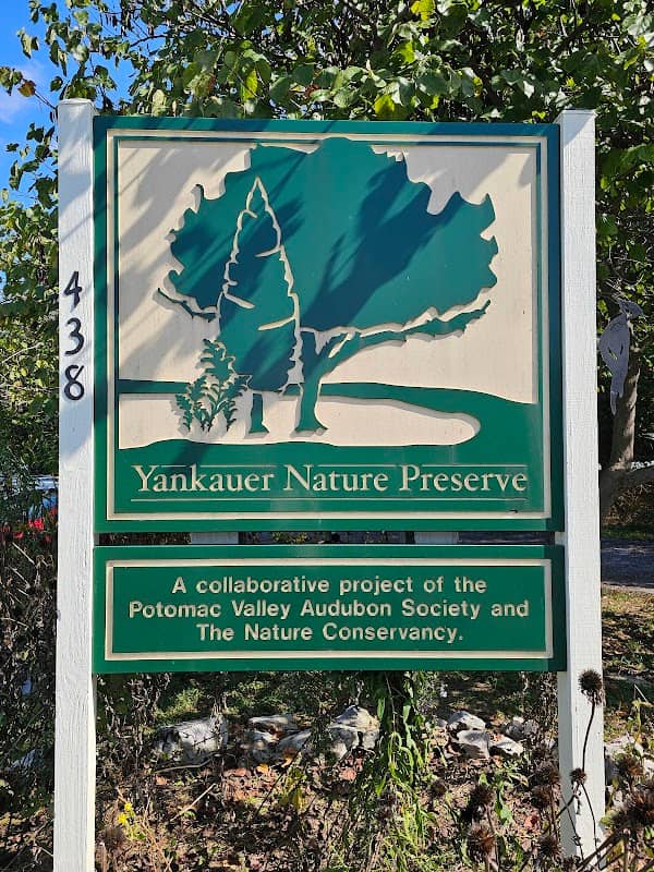 Yankauer Nature Preserve - Image 1