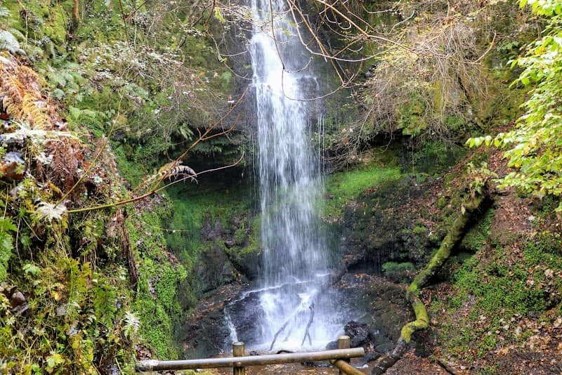 Craigie Linn (Waterfall) - Image 2
