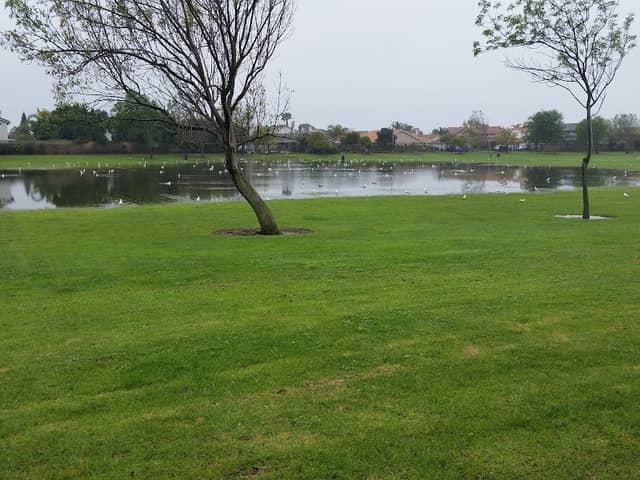 Southwest Community Park - Image 2