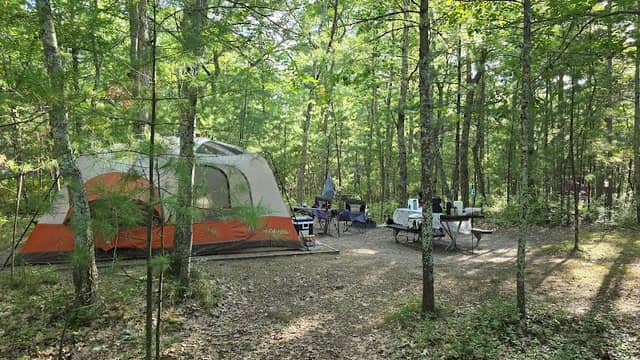 Lasso Loop Trailhead - Image 2
