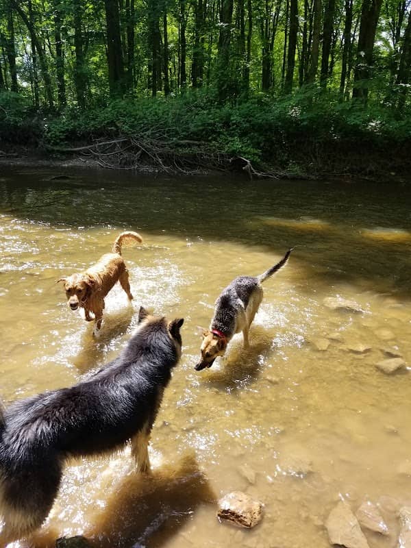 Brown County Dog Park - Image 2