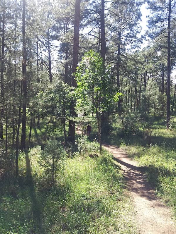 USDA Forest Service - Smokey Bear Ranger District - Image 2