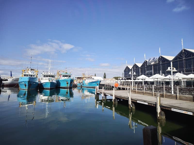 Fremantle Fishing Boat Harbour - Image 3