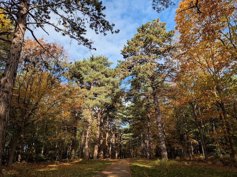 The Royal Parkland Sandringham - Image 1