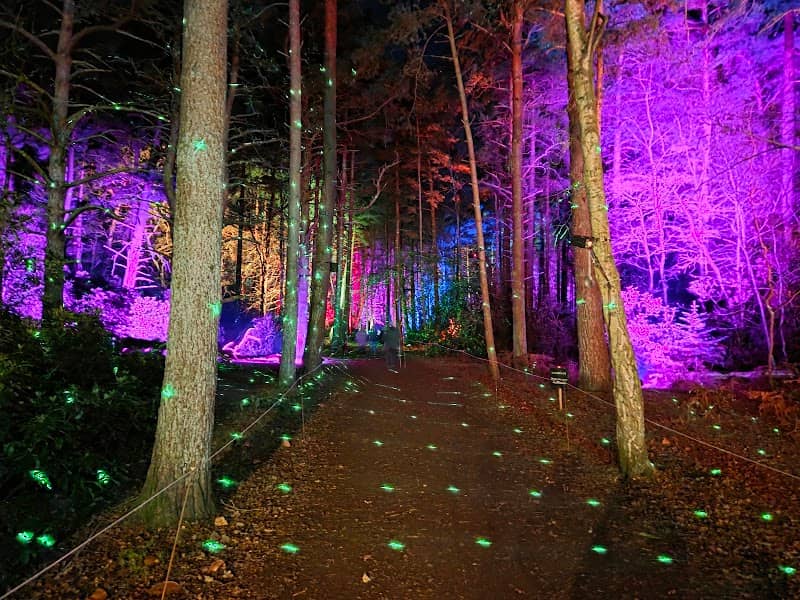 The Royal Parkland Sandringham - Image 2