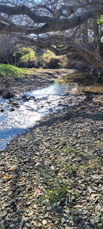 Lydia Lane Park - Image 1