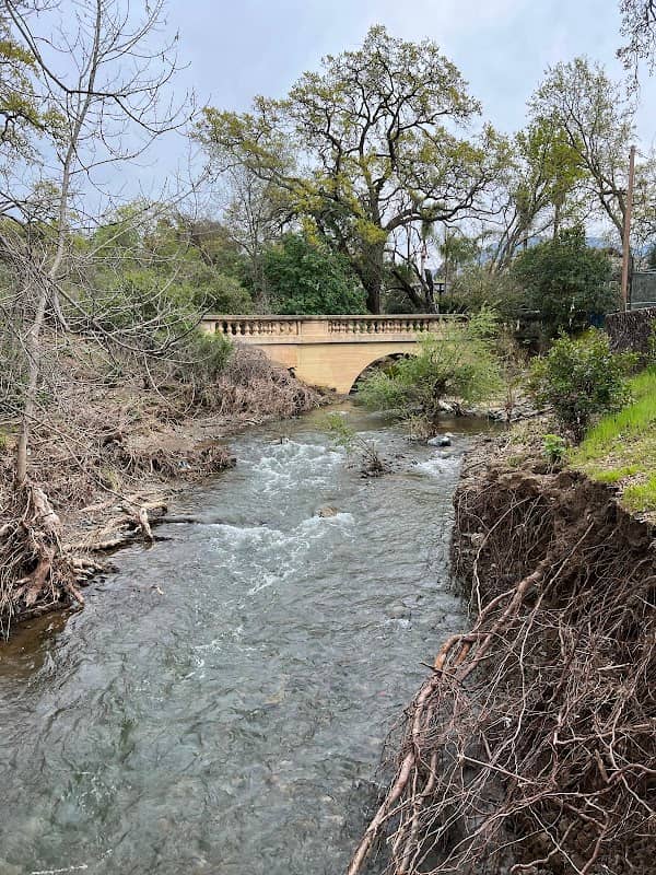 Lydia Lane Park - Image 3