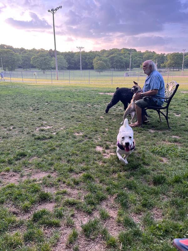 Bella Vista K9 Corral Dog Park - Image 2