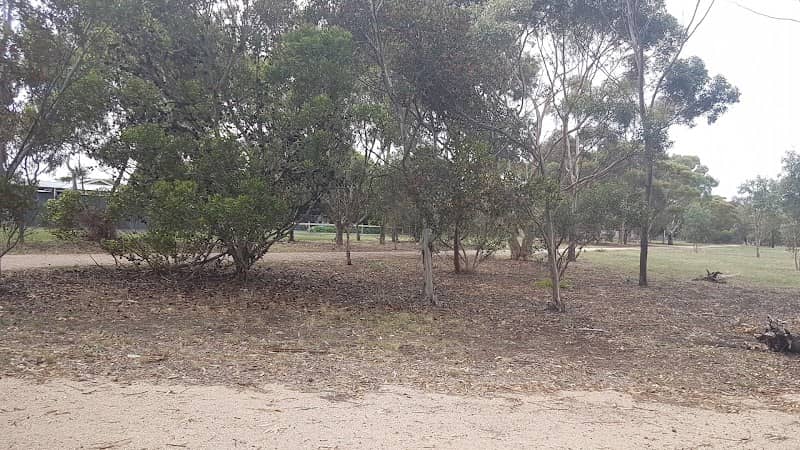 Imperial Way Bush Reserve - Image 1