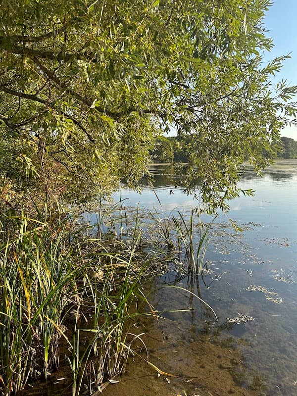 Luneack Landing - Image 1