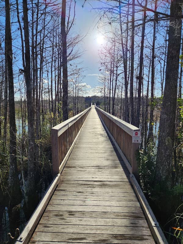 Grassy Waters Preserve - Image 2