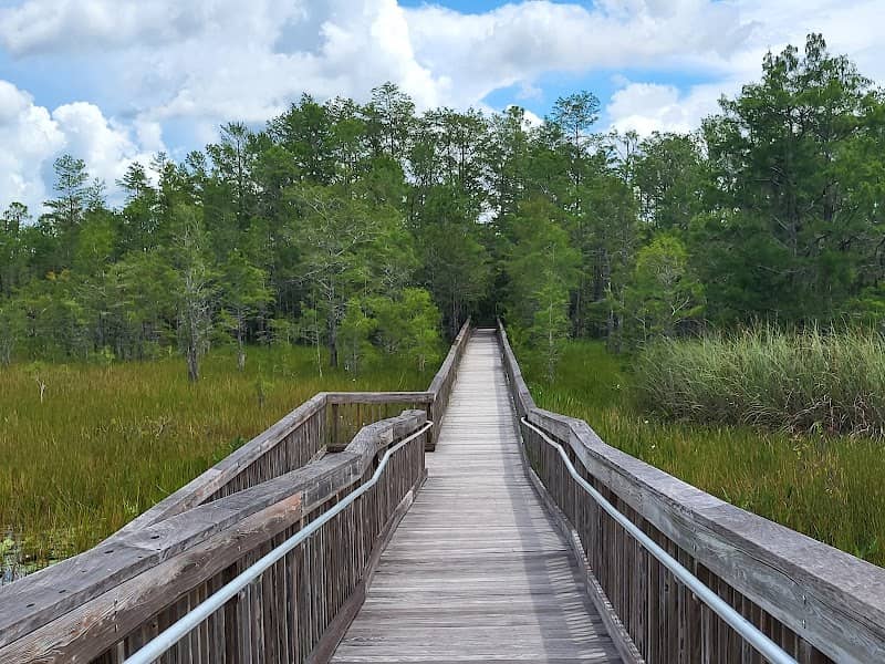 Grassy Waters Preserve - Image 3