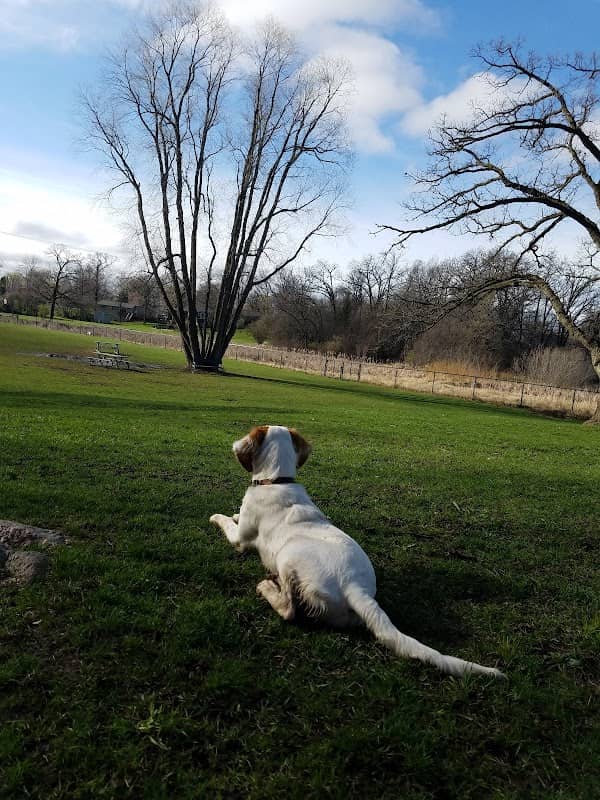 Monticello Dog Park - Image 1