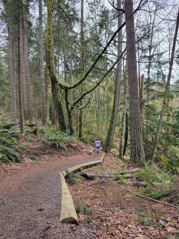 Dash Point Highlands Park - Image 2