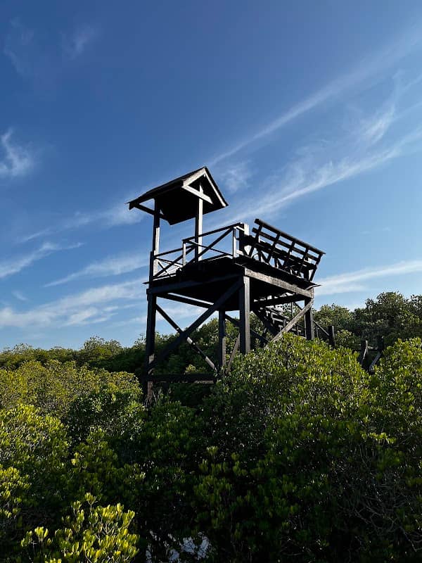 Mangrove Observatory / หอสังเกตการณ์ - Image 1