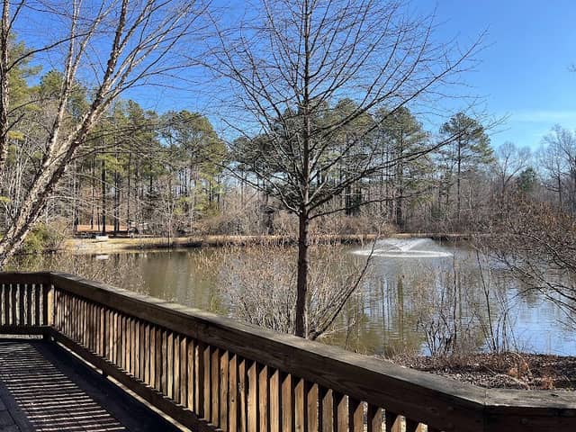 Nature Observation Deck - Image 1