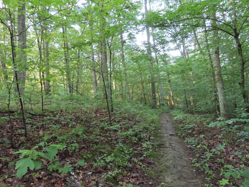 Hitz-Rhodehamel Nature Preserve - Image 1