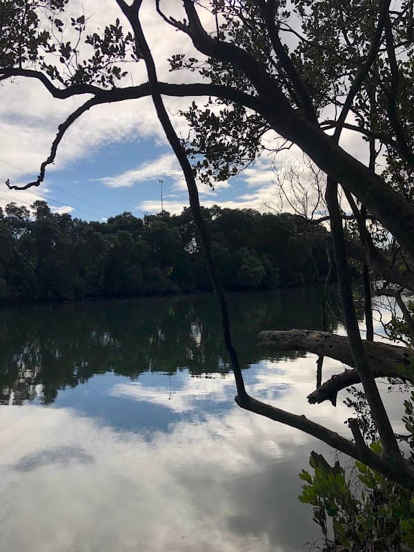 Lane Cove Bushwalk - Image 1