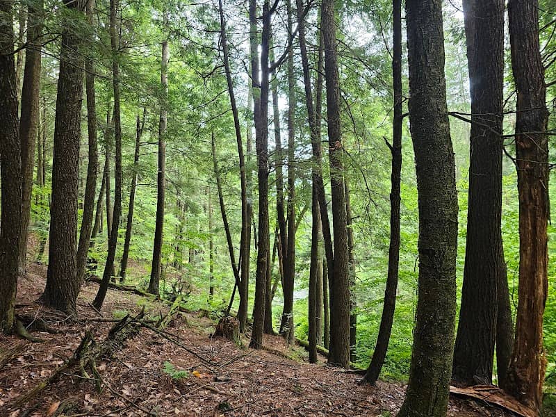 Martin Brook Park - Image 1