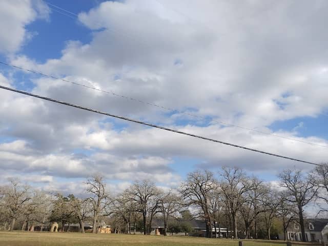 Crescent Park - Image 1