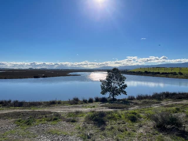 Byxbee Park - Image 2