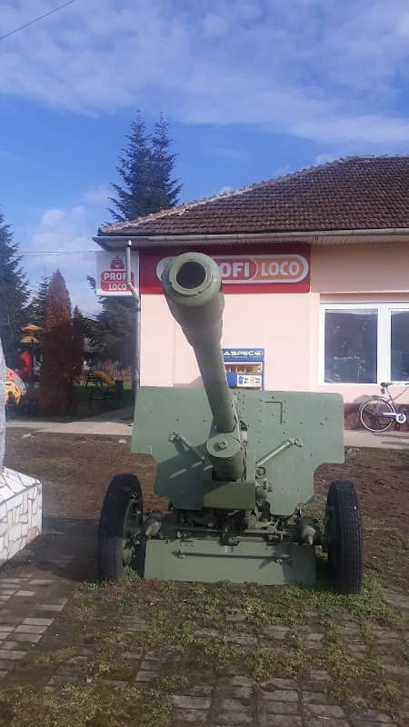 Parcul Eroilor Vama - Image 1