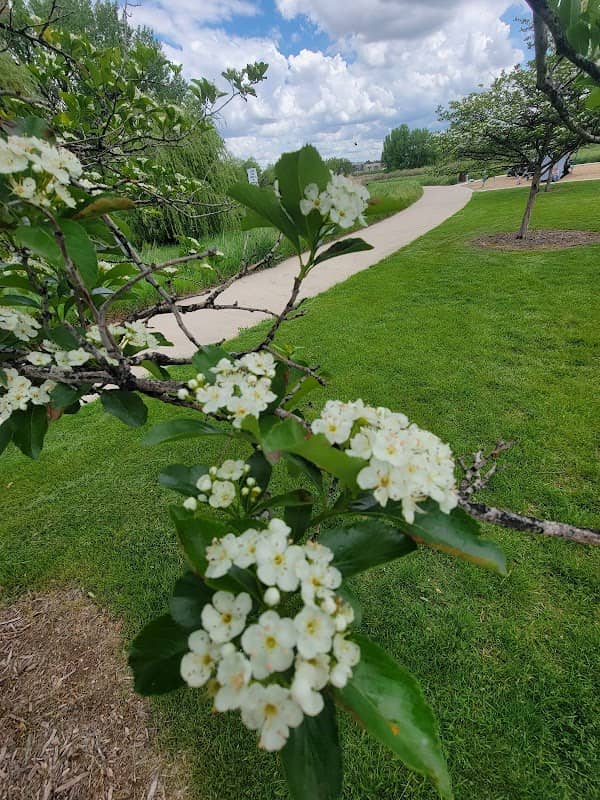 Greeley West Park - Image 2
