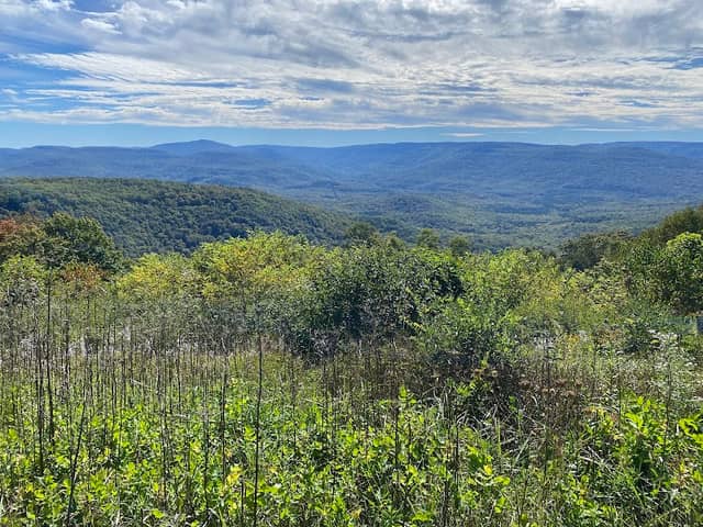 Little Laurel Overlook - Image 3