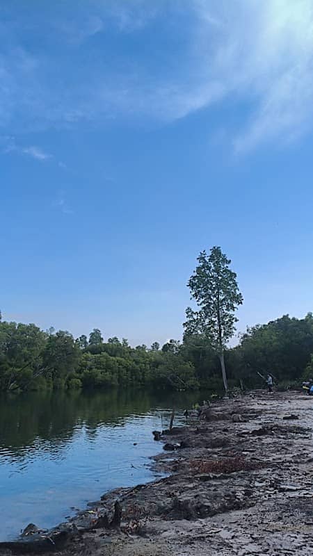 Spot Fishing - Image 1