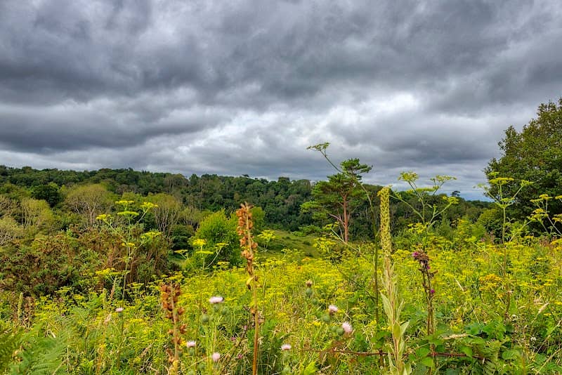 National Trust - Headley Heath - Image 3