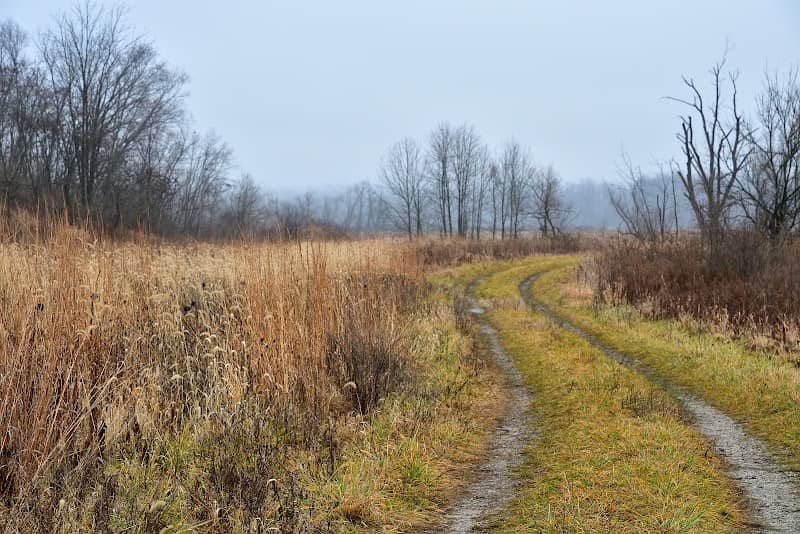 Killbuck Marsh Wildlife Area - Image 3