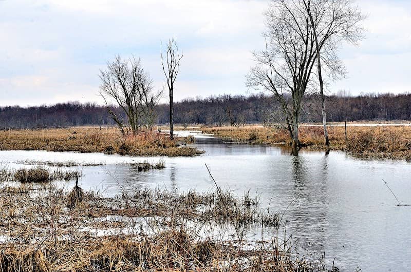 Killbuck Marsh Wildlife Area - Image 1