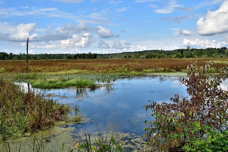 Killbuck Marsh Wildlife Area - Image 2