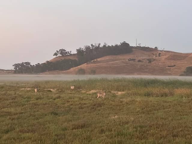 Coyote Hills Entry Kiosk - Image 1
