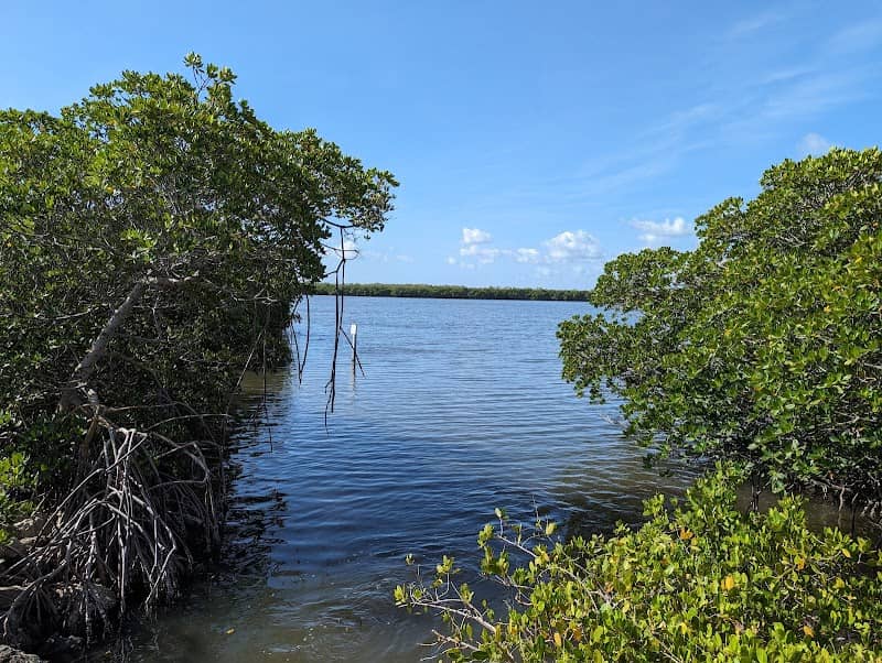 Pelican Island National Wildlife Refuge - Image 3