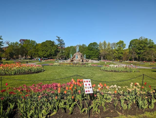 Washington Park - Image 3