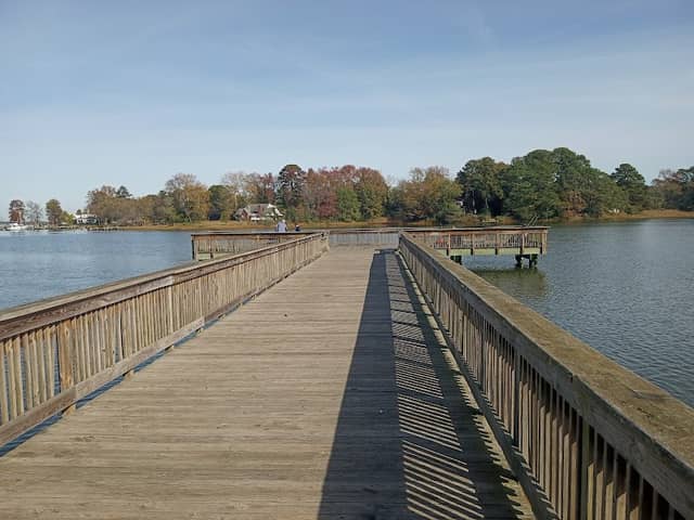 Portsmouth City Park - Image 2