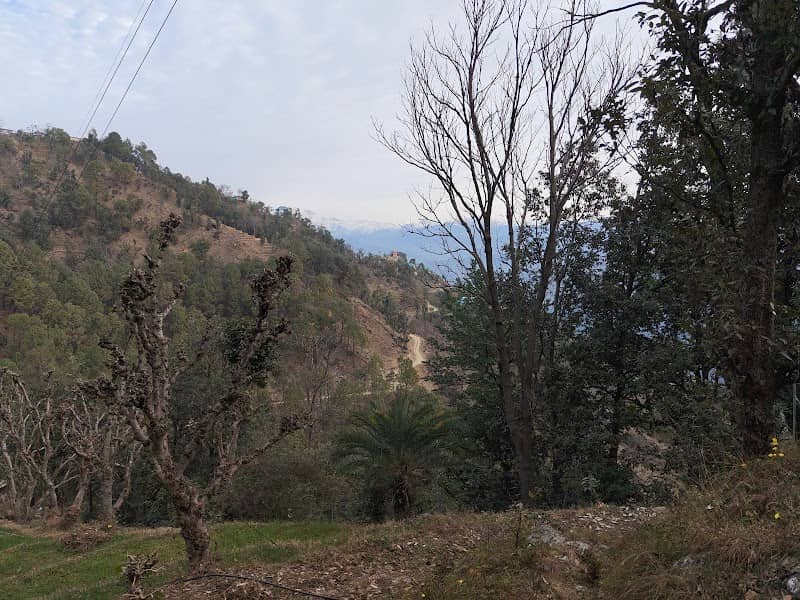 Chilghari - Image 1