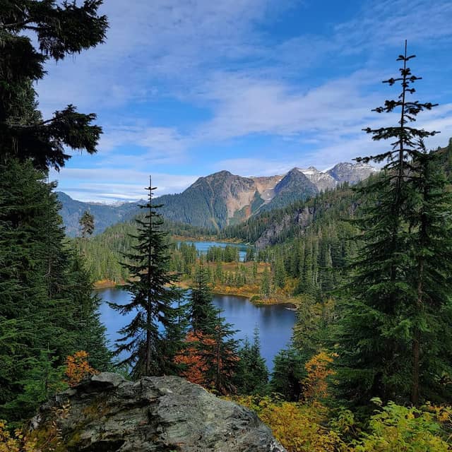 Noisy-Diobsud Wilderness - Image 2