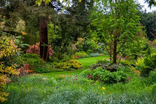PowellsWood Garden - Image 1