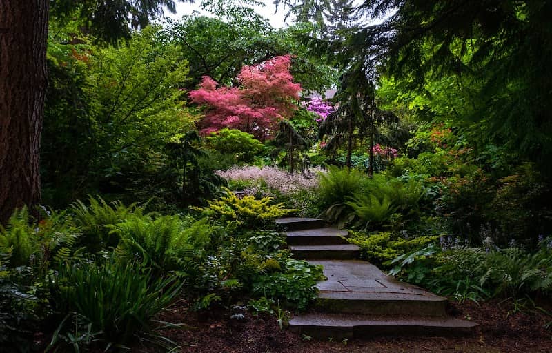 PowellsWood Garden - Image 2