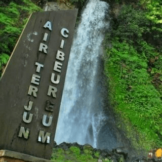 mandalawangi nature camp - Image 3