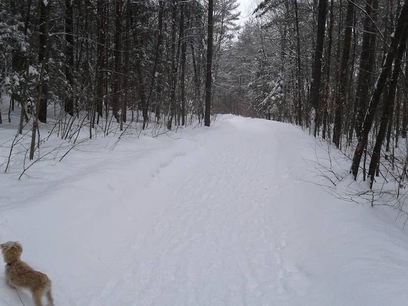 Vallon Park - Image 2