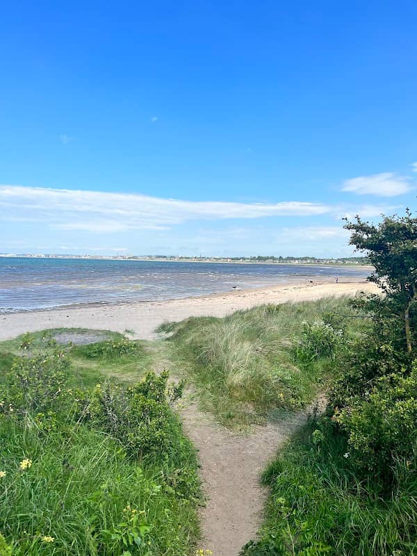 Greenan Castle - Image 3