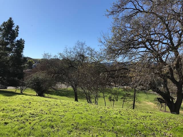 Kottinger Community Park - Image 2