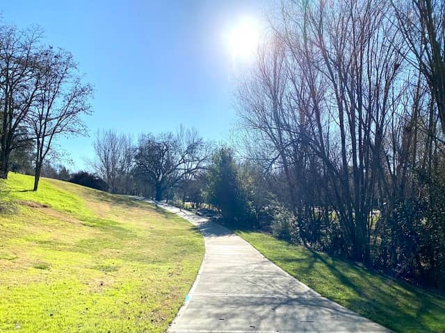 Kottinger Community Park - Image 1