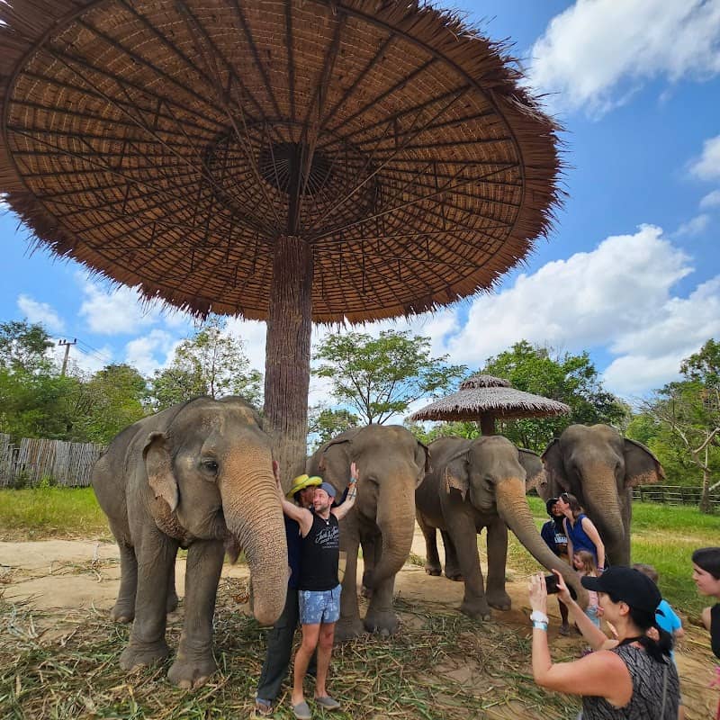 Samui Elephant Kingdom Sanctuary - Image 2
