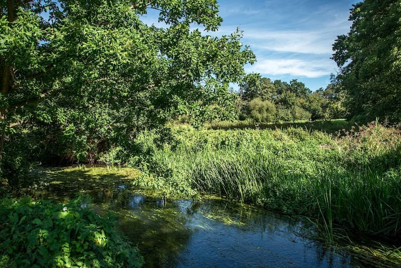 Shepherd Meadow Nature Reserve - Image 1