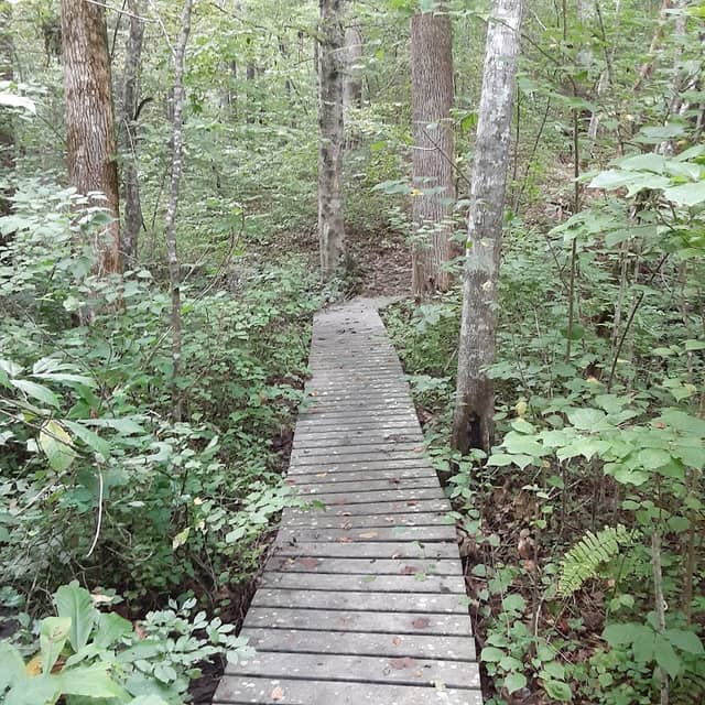 Hickory Hollow Natural Area Preserve - Image 1